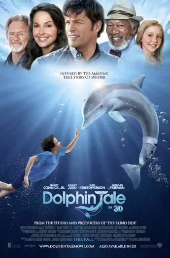 ดูหนัง Dolphin Tale 1 (2011) มหัศจรรย์โลมาหัวใจนักสู้ HD