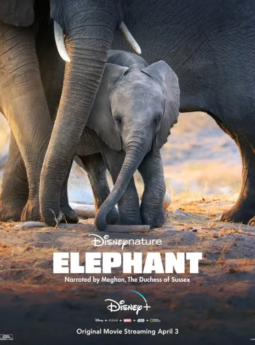 ดูหนัง Elephant (2020) อัศจรรย์ชีวิตของช้าง HD