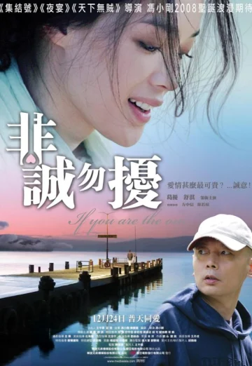 ดูหนัง If You Are the One (Fei cheng wu rao) (2008) ผิดรักหัวใจหลงลึก HD
