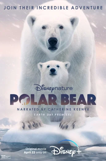 ดูหนัง Polar Bear (2022) โพล่าแบร์