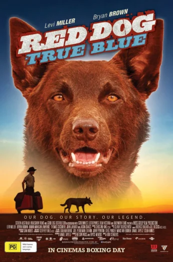ดูหนัง Red Dog: True Blue (2016) เพื่อนซี้หัวใจหยุดโลก 2 HD
