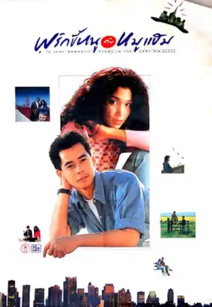 ดูหนัง A Very Romantic Story In The Very Big City (1989) พริกขี้หนูกับหมูแฮม HD