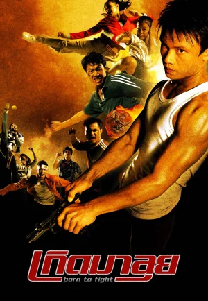 ดูหนัง Born To Fight (2004) เกิดมาลุย HD