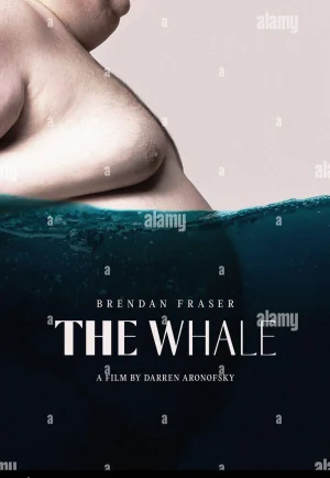 ดูหนัง The Whale (2022) เหงาเท่าวาฬ HD