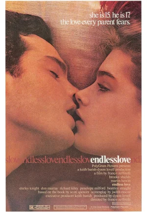 ดูหนัง Endless Love (1981) วุ่นรักไม่รู้จบ HD
