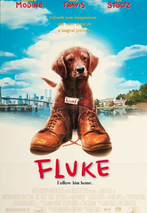 ดูหนัง Fluke (1995) เกิดใหม่กลายเป็นหมา HD