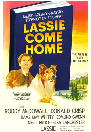 ดูหนัง Lassie Come Home (1943) HD